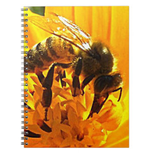 Bee on a Flower Notebook