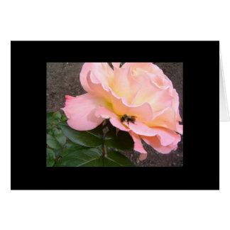 Bee on a Rose Cards