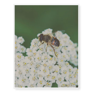 Bee on a white flower macro temporary tattoos