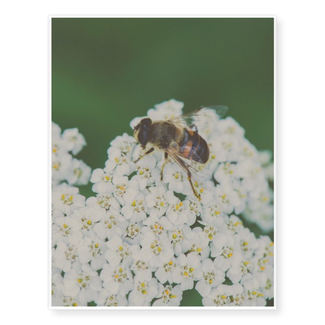 Bee on a white flower macro temporary tattoos (Front)