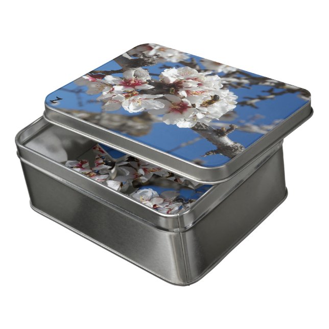 Bee on Almond Blossom Jigsaw Puzzle (Lid Open)