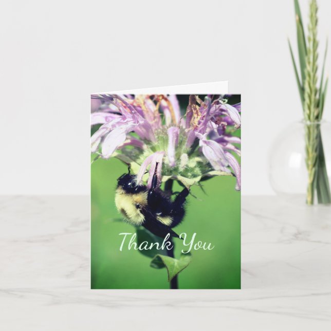 Bee On Bee Balm Flower Thank You Card (Front)