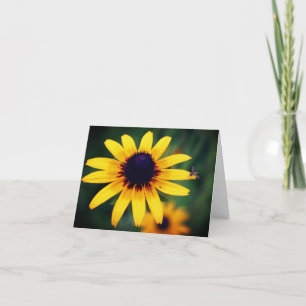 Bee On Black Eyed Susan Flower Photography Note Card