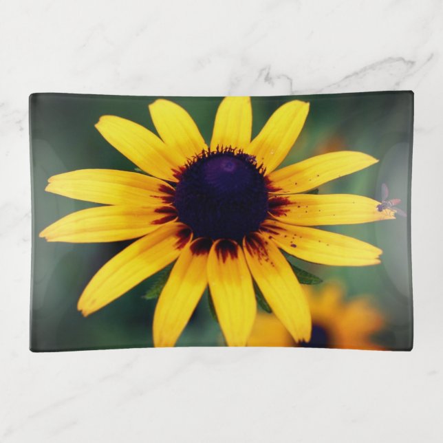 Bee On Black Eyed Susan Flower   Trinket Tray (Front)