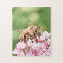 Bee on blossom