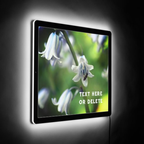 Bee On Bluebell Flower Close Up Personalized LED Sign