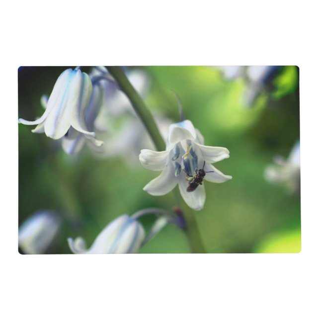 Bee On Bluebell Flower Close Up   Placemat (Front)