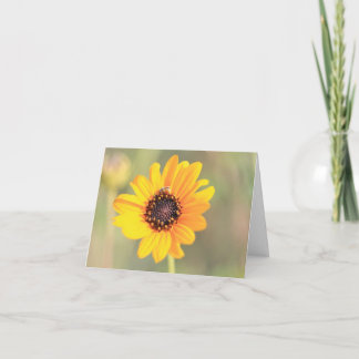 Bee on Coreopsis Business Card