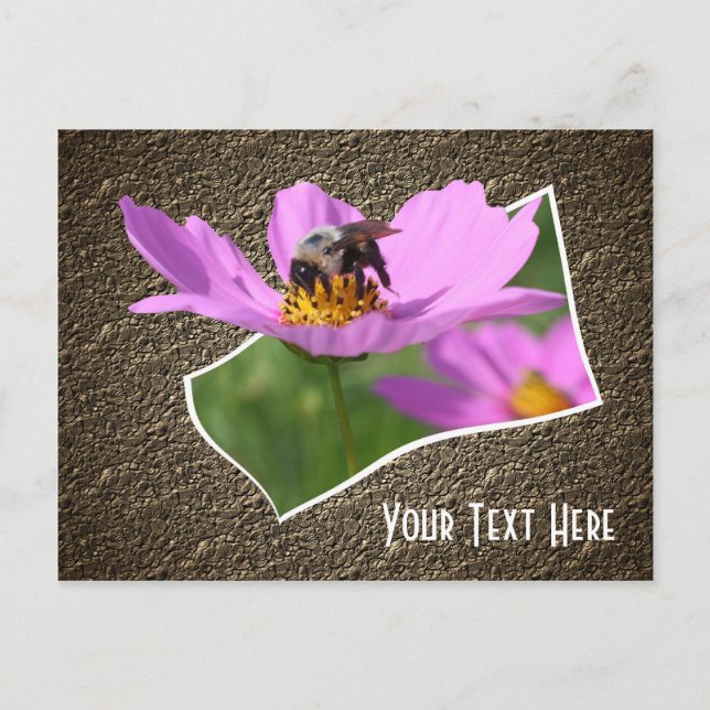 Bee On Cosmos Flower Customizable Postcard (Front)