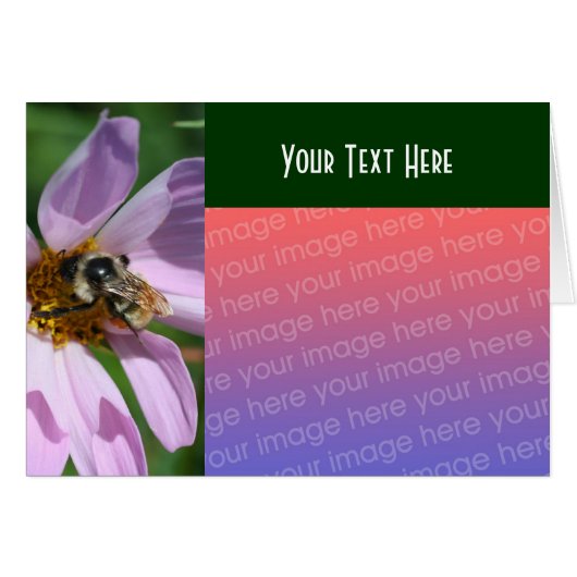 Bee On Cosmos Flower Nature Photo Card (Front Horizontal)