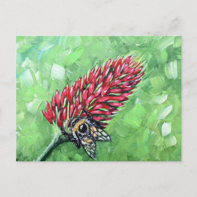 Bee on Crimson Clover Painting Postcard (Front)