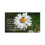 Bee on Daisy Alaskan Summer Nature Photo Business Card