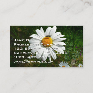 Bee on Daisy Alaskan Summer Nature Photo Business Card