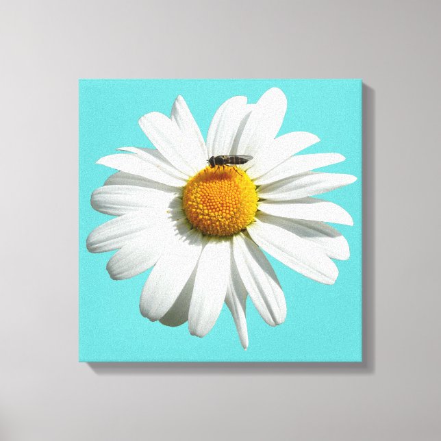 Bee on Daisy Alaskan Summer Nature Photo Canvas Print (Front)