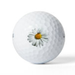 Bee on Daisy Alaskan Summer Nature Photo Golf Balls