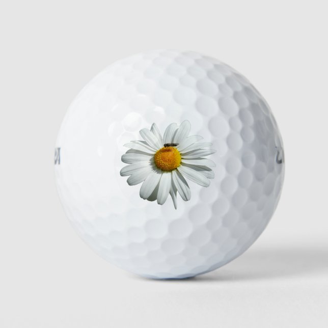 Bee on Daisy Alaskan Summer Nature Photo Golf Balls (Front)