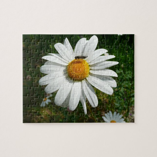 Bee on Daisy Alaskan Summer Nature Photo Jigsaw Puzzle (Horizontal)