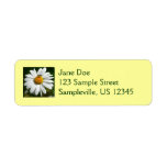 Bee on Daisy Alaskan Summer Nature Photo Label