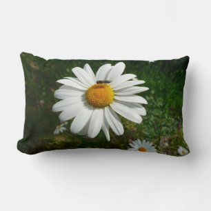 Bee on Daisy Alaskan Summer Nature Photo Lumbar Pillow