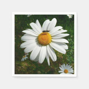 Bee on Daisy Alaskan Summer Nature Photo Napkins
