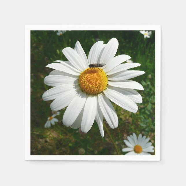 Bee on Daisy Alaskan Summer Nature Photo Napkins (Front)