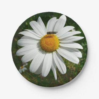 Bee on Daisy Alaskan Summer Nature Photo Paper Plates