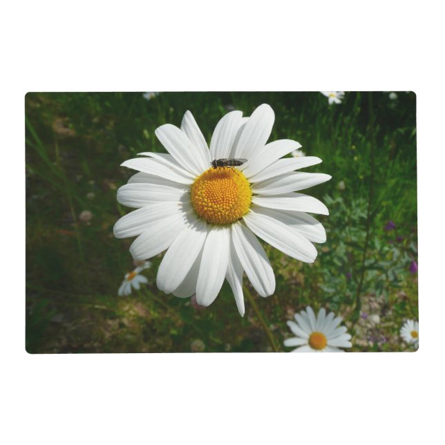 Bee on Daisy Alaskan Summer Nature Photo Placemat (Front)