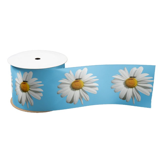 Bee on Daisy Alaskan Summer Nature Photo Satin Ribbon (Spool)