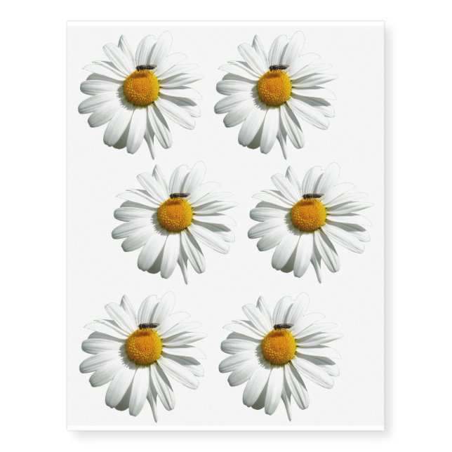 Bee on Daisy Alaskan Summer Nature Photo Temporary Tattoos (Front)