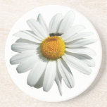 Bee on Daisy Cute Floral Drink Coaster