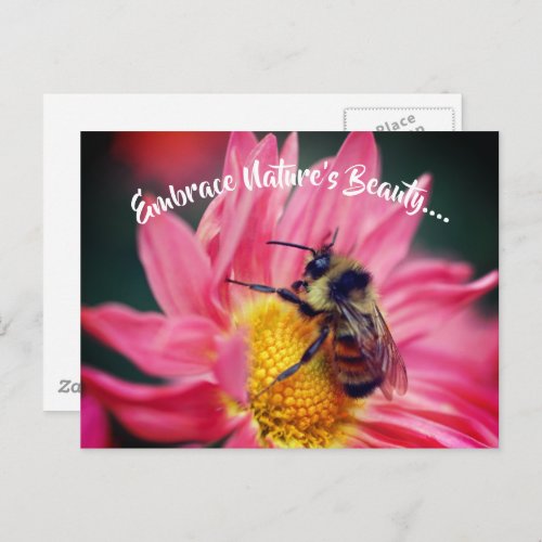 Bee On Daisy Embrace Nature Inspirational  Postcard