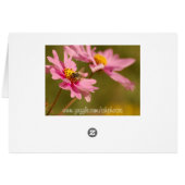 Bee on Flower Cards (Back Horizontal)