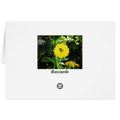 Bee on flower cards (Back Horizontal)