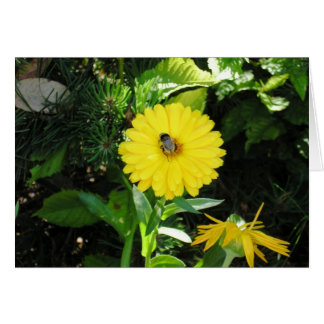 Bee on flower cards