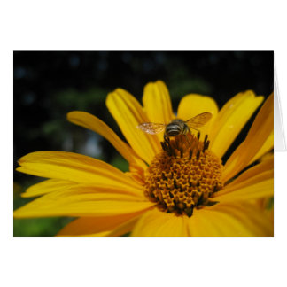 Bee on flower cards