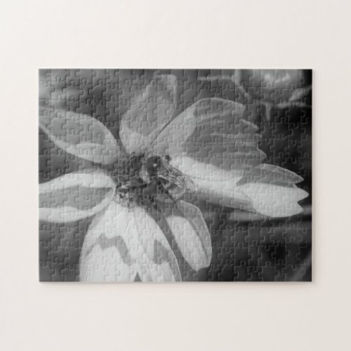 Bee On Flower In Black And White Nature Jigsaw Puzzle