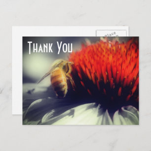Bee On Flower Partial Color Thank You Postcard