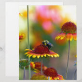 Bee on Gaillardia (Front/Back)