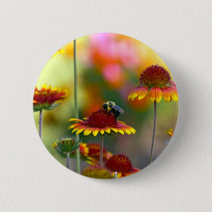 Bee on Gaillardia Button