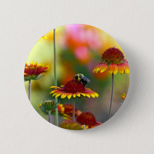 Bee on Gaillardia Button (Front)