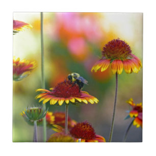 Bee on Gaillardia Ceramic Tile