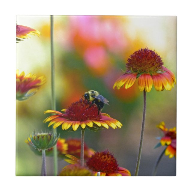 Bee on Gaillardia Ceramic Tile (Front)