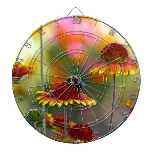 Bee on Gaillardia Dart Board (Front)