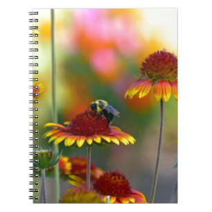 Bee on Gaillardia Notebook
