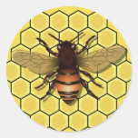 Bee on Honeycomb Stickers