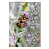 Bee on Lambs Ear ~ card (Front)
