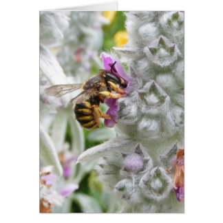 Bee on Lambs Ear ~ card
