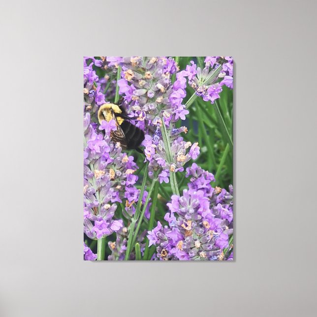 Bee on Lavender Flower Canvas Print (Front)
