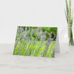 Bee on Lavender Summer Floral Card