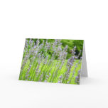 Bee on Lavender Summer Floral Card